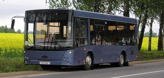 маз 206 автобус